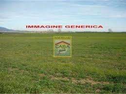 Terreno agricolo in Vendita a Cascina Via Alberto Profeti, B 251