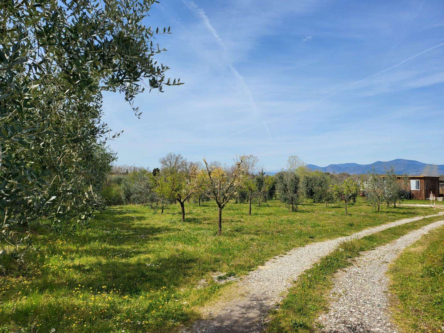Terreno agricolo in Vendita a Casciana Terme Lari Casciana Terme Lari PI