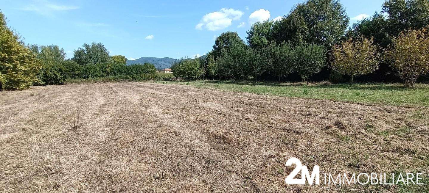 Terreno agricolo in Vendita a San Giuliano Terme Pontasserchio PI,