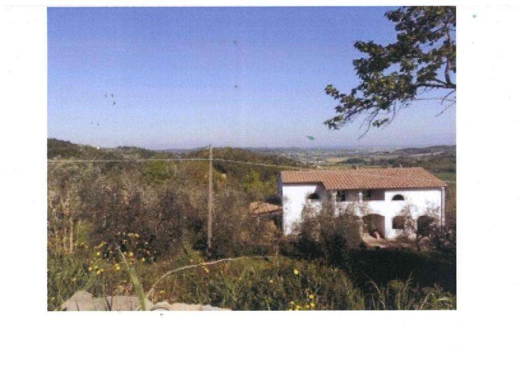Azienda agricola in Vendita a San Miniato Via Balconevisi,