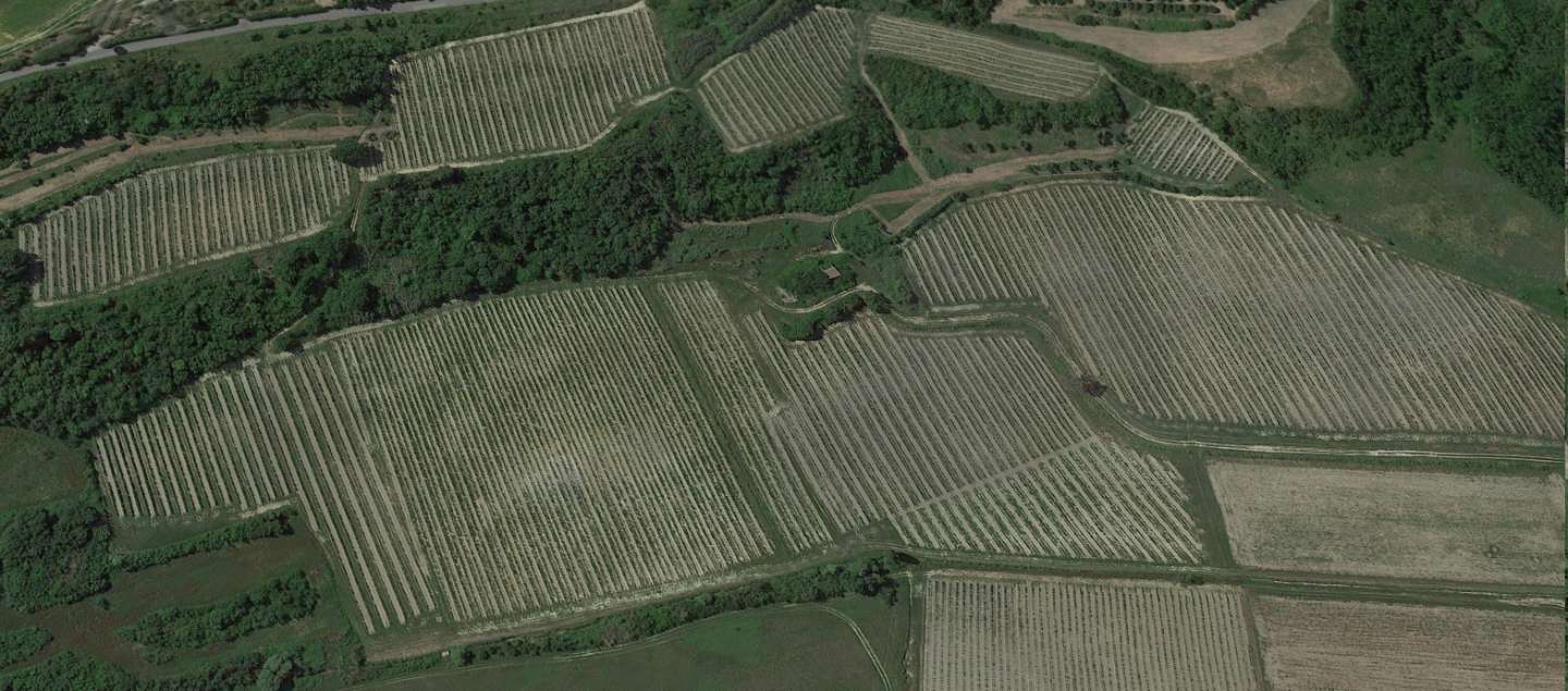 Terreno agricolo in Vendita a San Miniato Via Sasso,