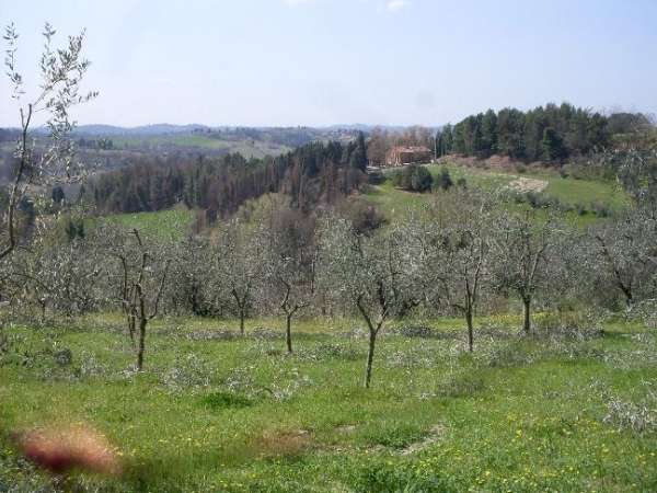 Terreno agricolo in Vendita a San Miniato Via Calenzano,