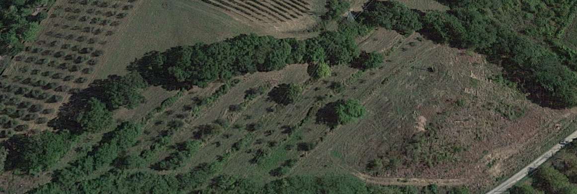 Terreno agricolo in Vendita a San Miniato MRW+6 San Miniato PI,