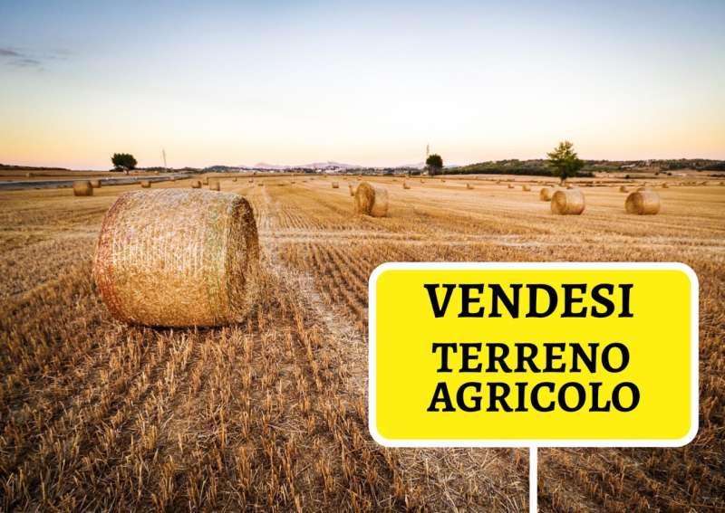 Terreno agricolo in Vendita a Cascina Latignano