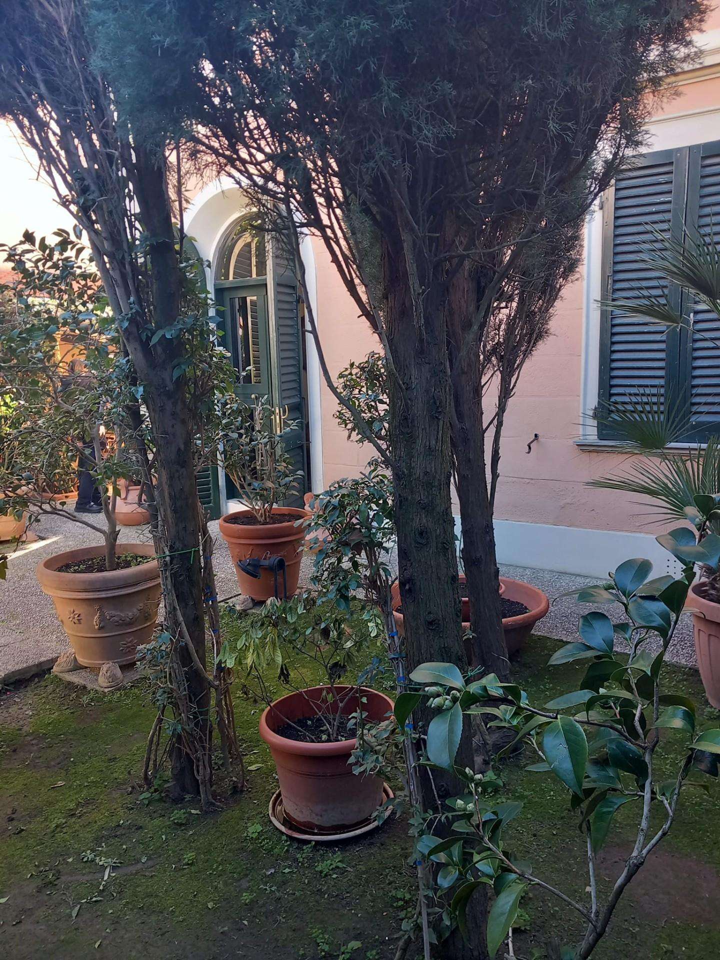 Casa Bi - Trifamiliare in Vendita a Pisa Giuseppe Giusti