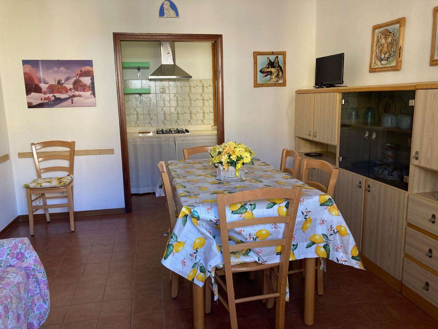 Appartamento in Affitto a Cecina Via Arezzo,