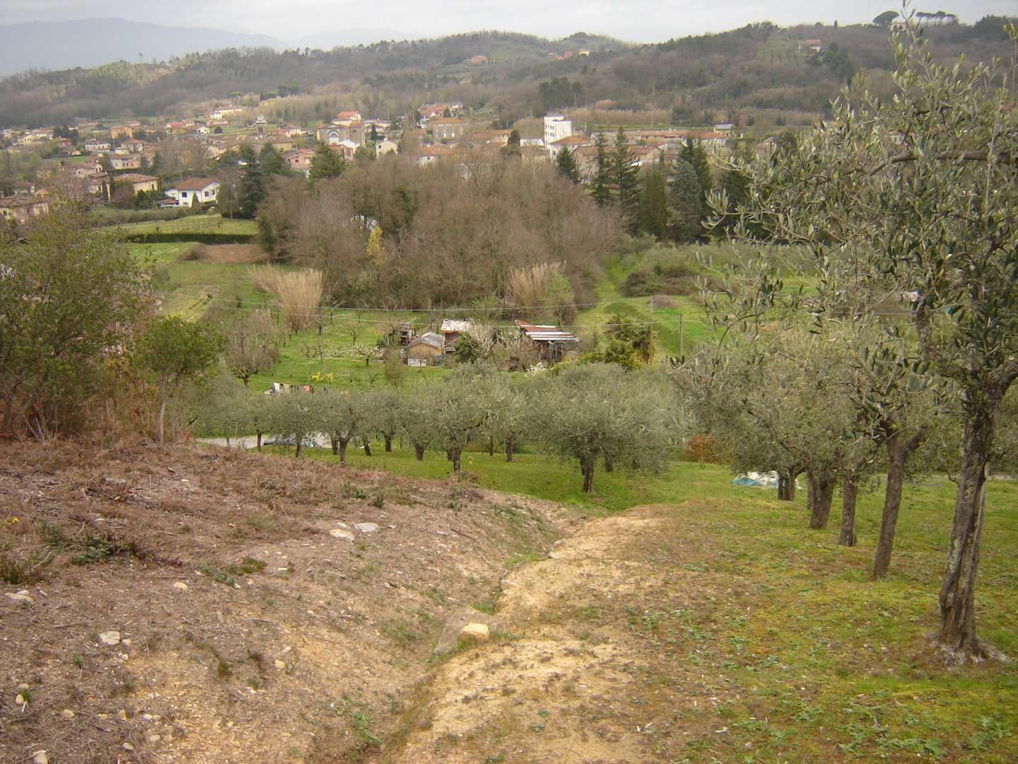 Terreno agricolo in Vendita a Capannori San Leonardo in Treponzio,