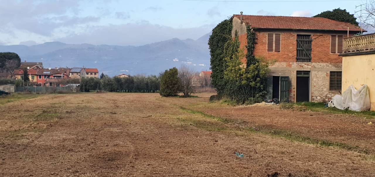 Azienda agricola in Vendita a Capannori Capannori