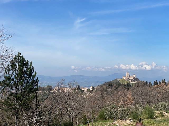 Terreno edificabile in Vendita a Assisi