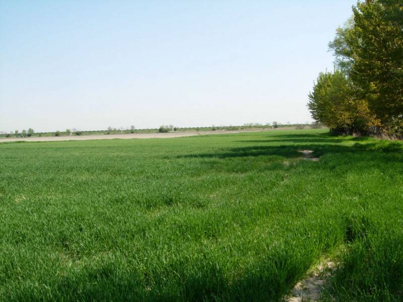 Terreno agricolo in Vendita a Sant'Urbano