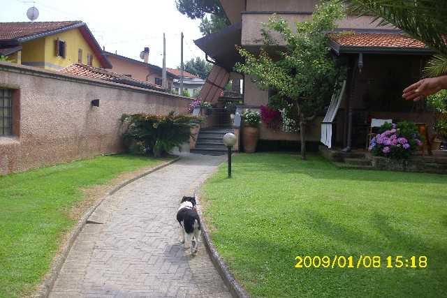 Villa in Vendita a Massa