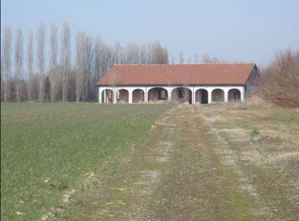 Terreno agricolo in Vendita a Mogliano Veneto