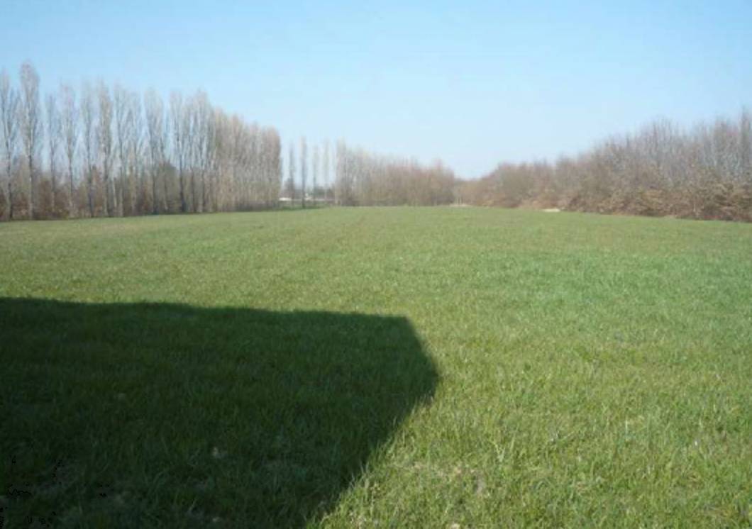 Terreno agricolo in Vendita a Mogliano Veneto
