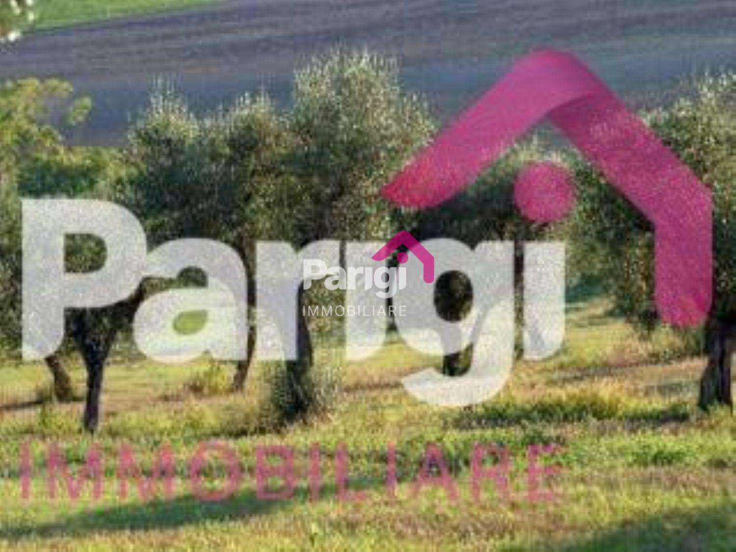 Terreno agricolo in Vendita a Prato Braga