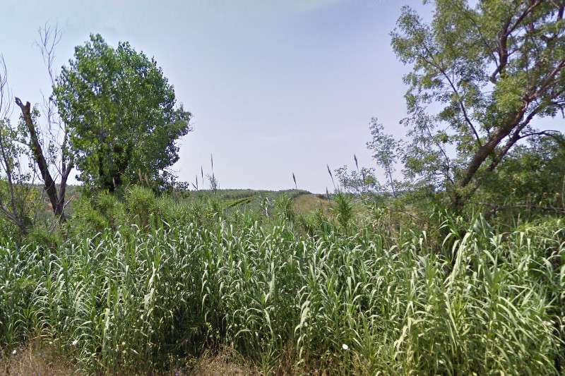 Terreno agricolo in Vendita a Fossacesia