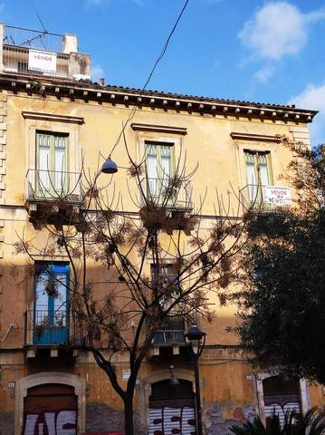Appartamento in Vendita a Catania via Pacini 70