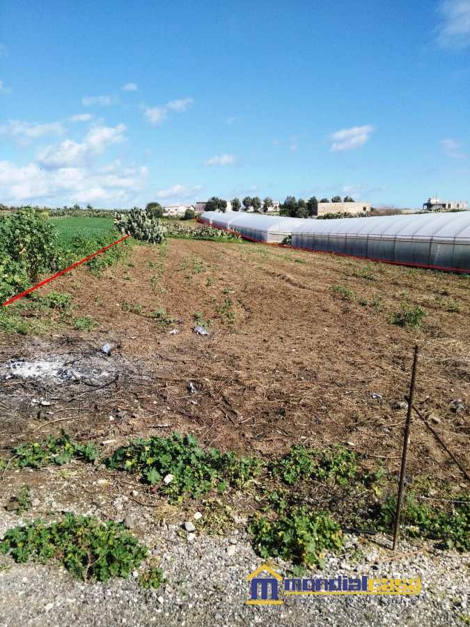 Terreno agricolo in Vendita a Pachino c.da Stallone